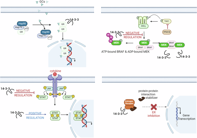 protein–protein interaction modulators protein–protein interaction modulators