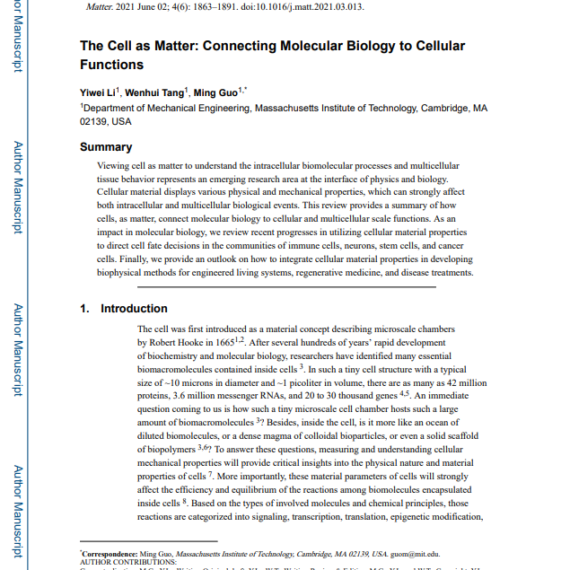 The Cell as Matter: Connecting Molecular Biology to Cellular Functions